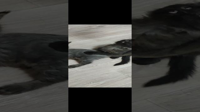 1000058055.mp4
