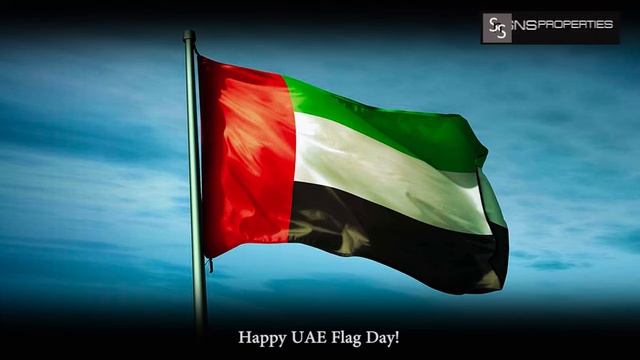 2018 Happy UAE Flag Day!