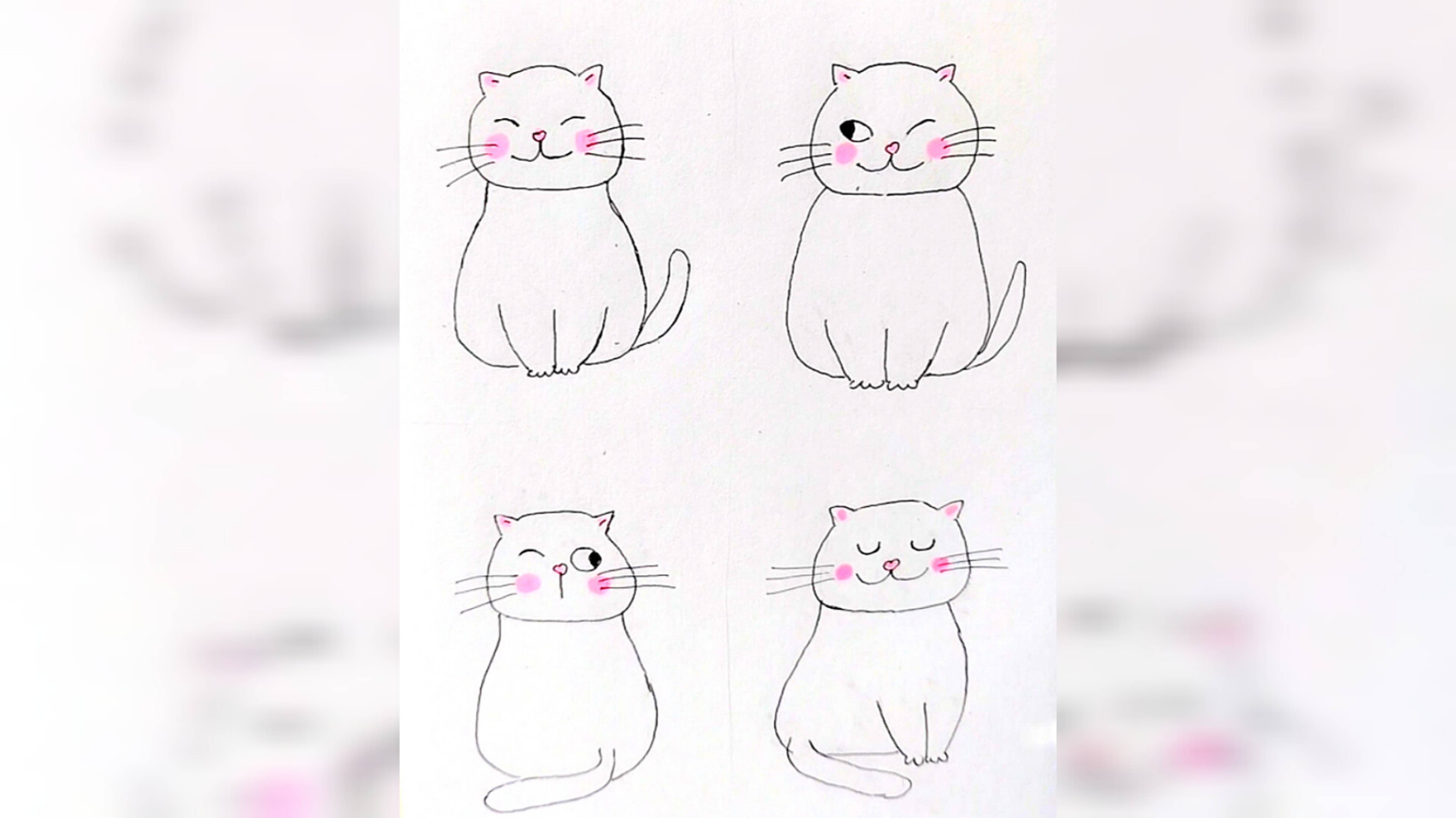 Котики