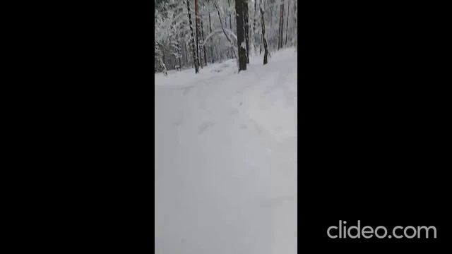 Походный обед на РОЖДЕСТВО