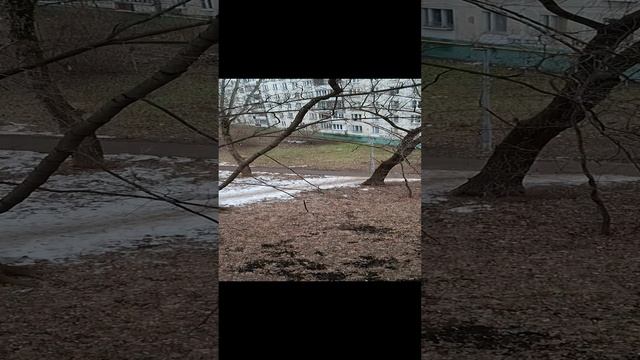 Рождество в Москве