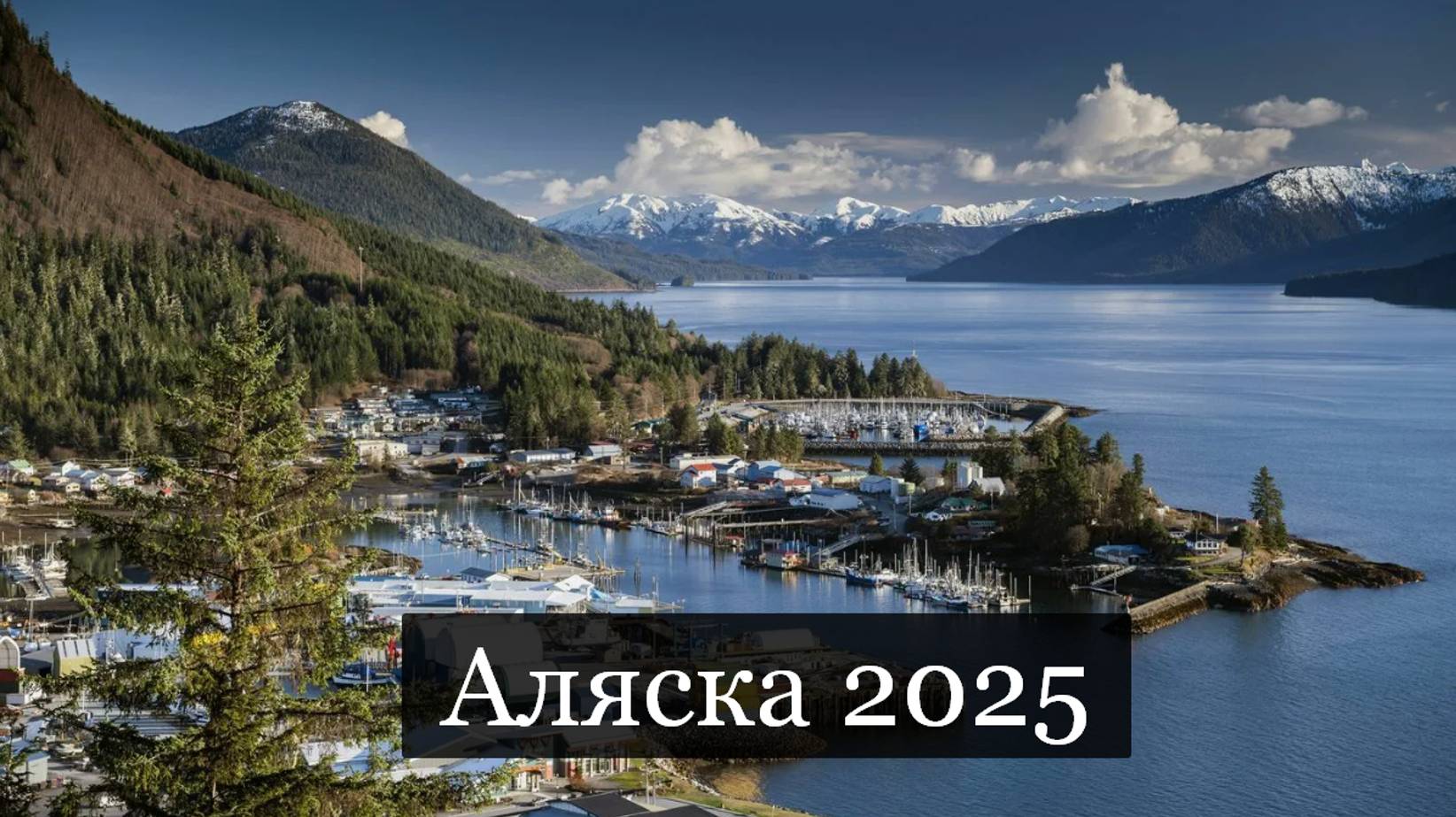 ТАРО #Аврора #гадание  Аляска 2025