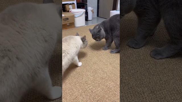 1000070765.mp4