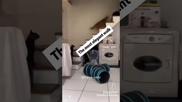 Snapchat-1211085340