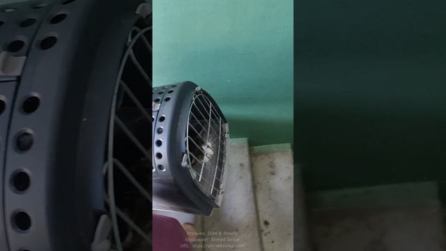 Мы в клинику и нам нужна ваша помощь.