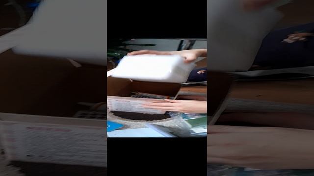 1000083100.mp4