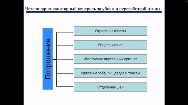 Переработка с.-х. птицы и всо продуктов убоя