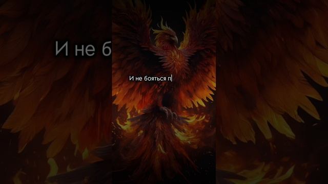 Нам Фениксам виднее