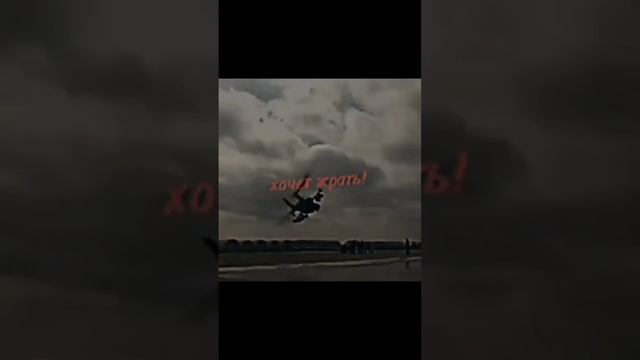 #чёрная акула