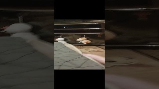 кто последний встанет с кровати челлендж потом я растерялся и остановил видео.mp4