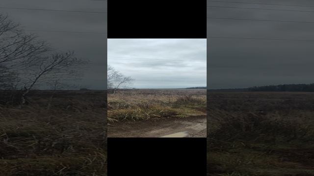 1000100165.mp4