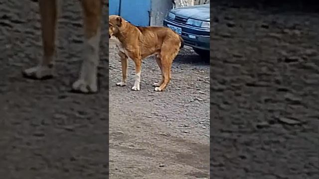 1000192096.mp4