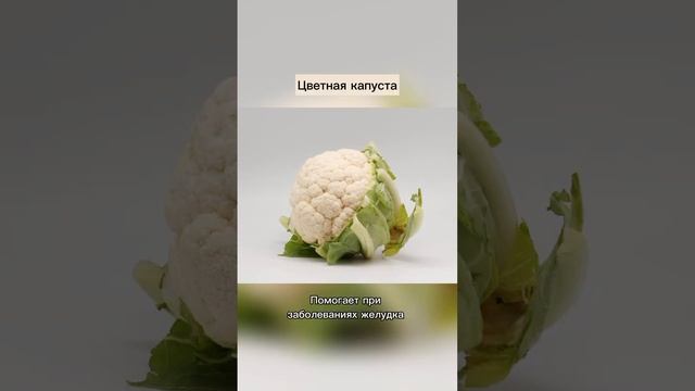 Фрукты и овощи, которые полезны для собак 🐶 #shorts #животные #собаки