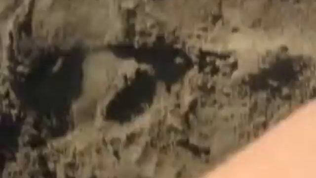 День варенья :)
