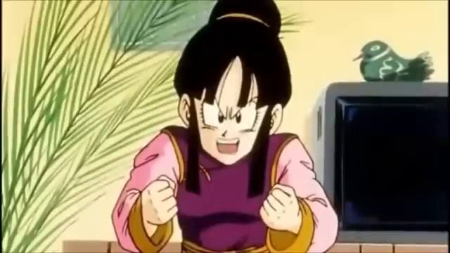 Dragon Ball Z: Goku Accidentally Hits Chi Chi