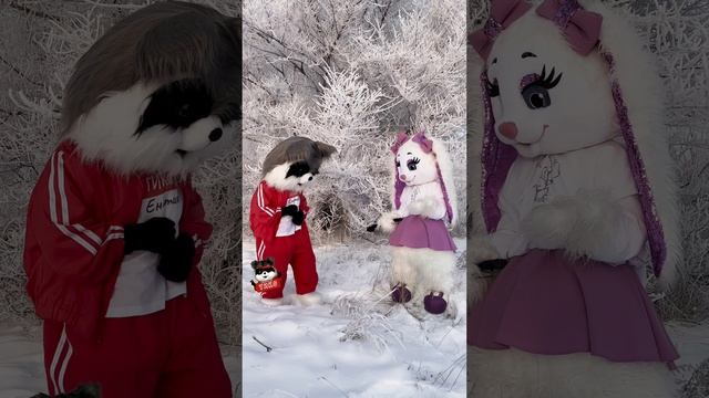 В эти холода #енот #raccoon #енотиктико