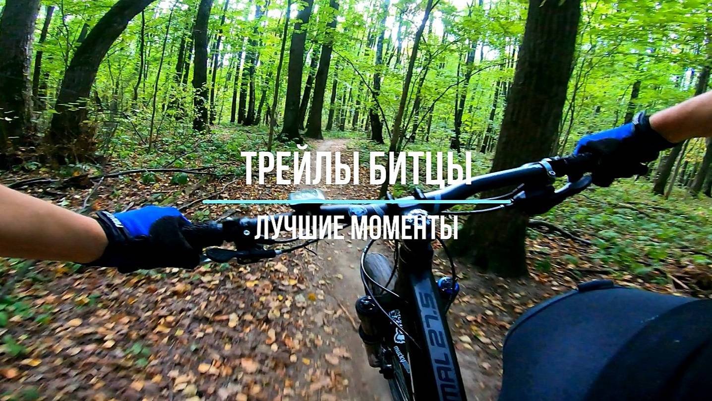 ТРЕЙЛЫ БИТЦЫ. Лучшие моменты 2024. (4k 60fps)