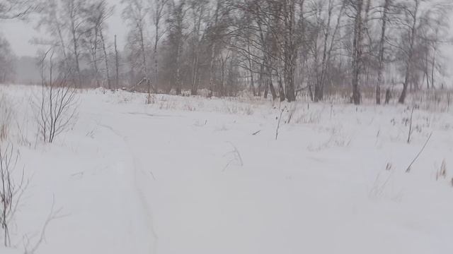 1000011530.mp4