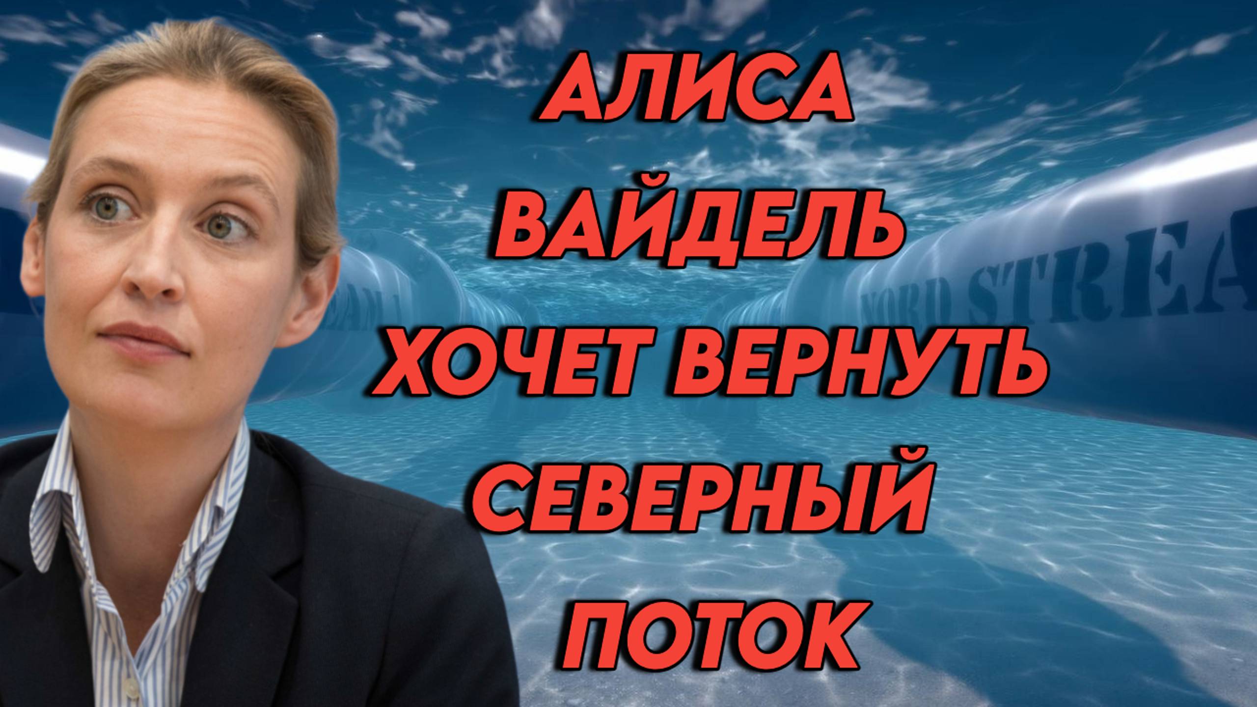 Алиса Вайдель хочет вернуть Северный Поток