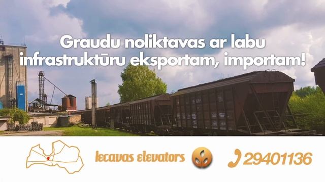 Graudu un graudaugu kultūru uzglabāšana graudu noliktavās - Iecavas elevators