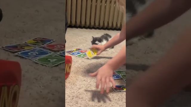 1000007897.mp4