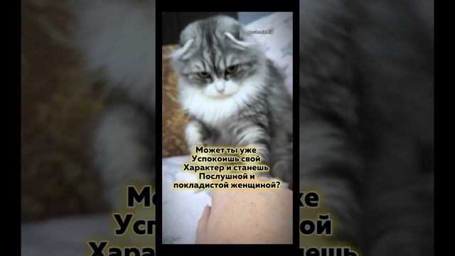 Послушная женщина