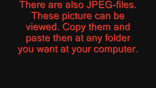 Nintendo 3DS Guide: How to save the pictures to your computer