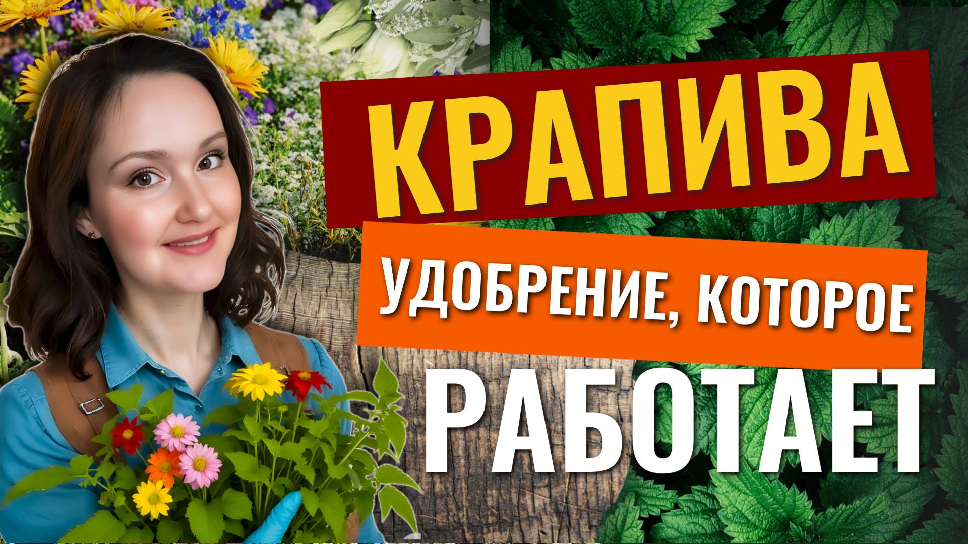 "Победа над вредителями и болезнями с помощью обычной крапивы!"