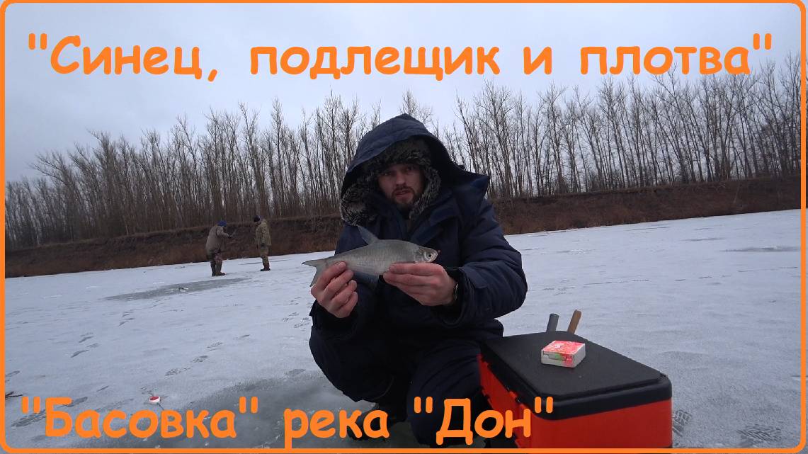 "Синец, подлещик и плотва"