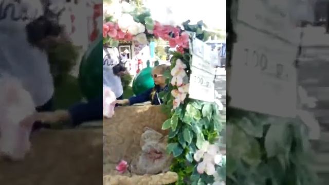В Краснодаре в Солнечном острове