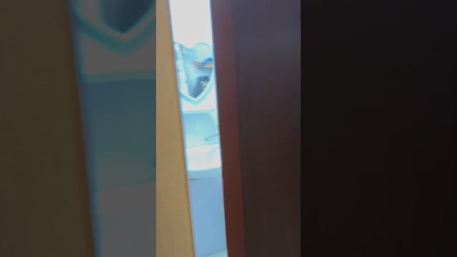 Обводный канал 69