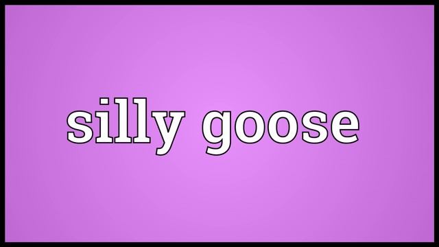 Silly goose Meaning