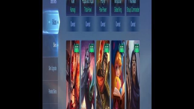 #304 Mobile Legends