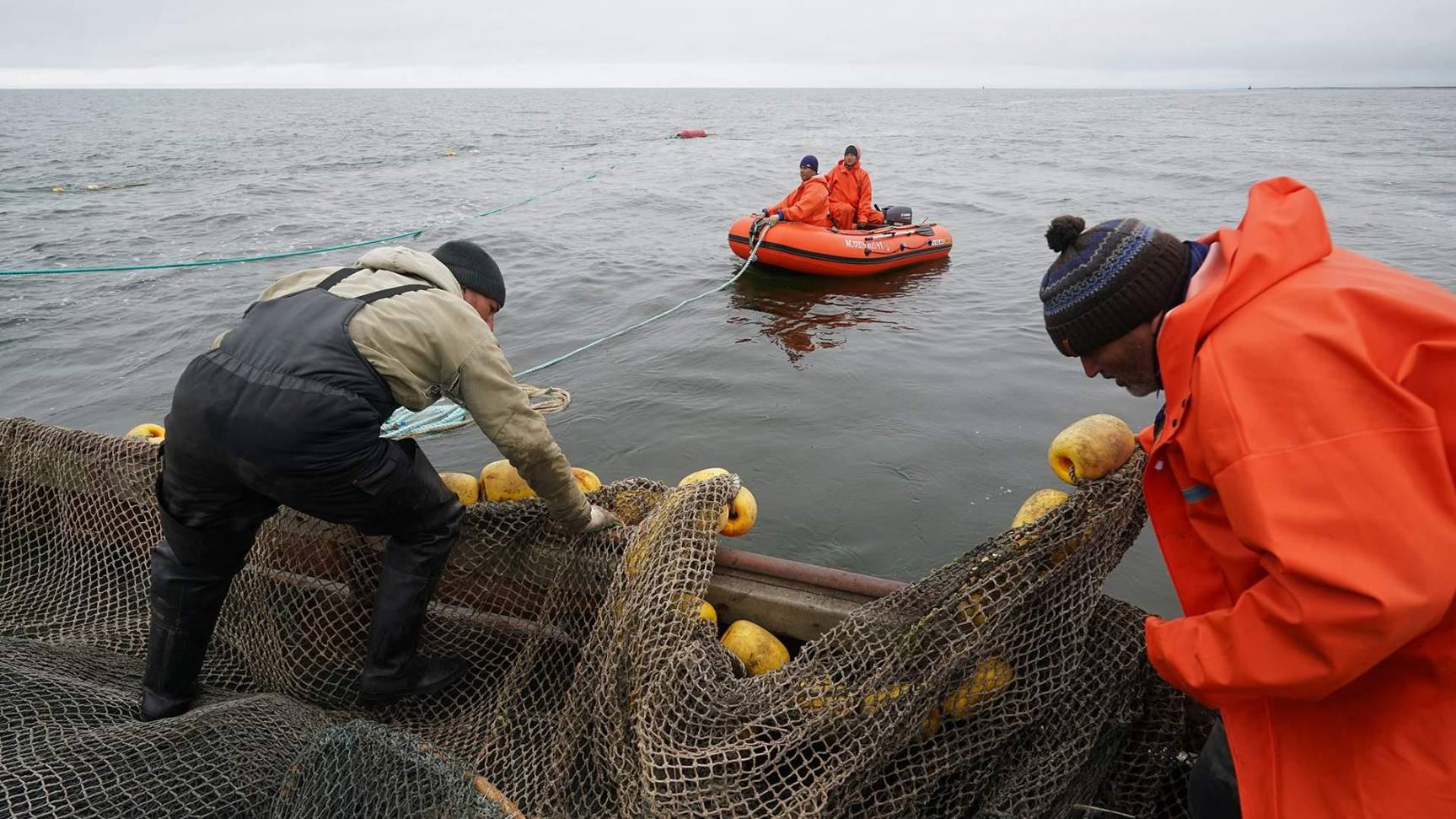 Вылов рыбы в Черном море могут ограничить