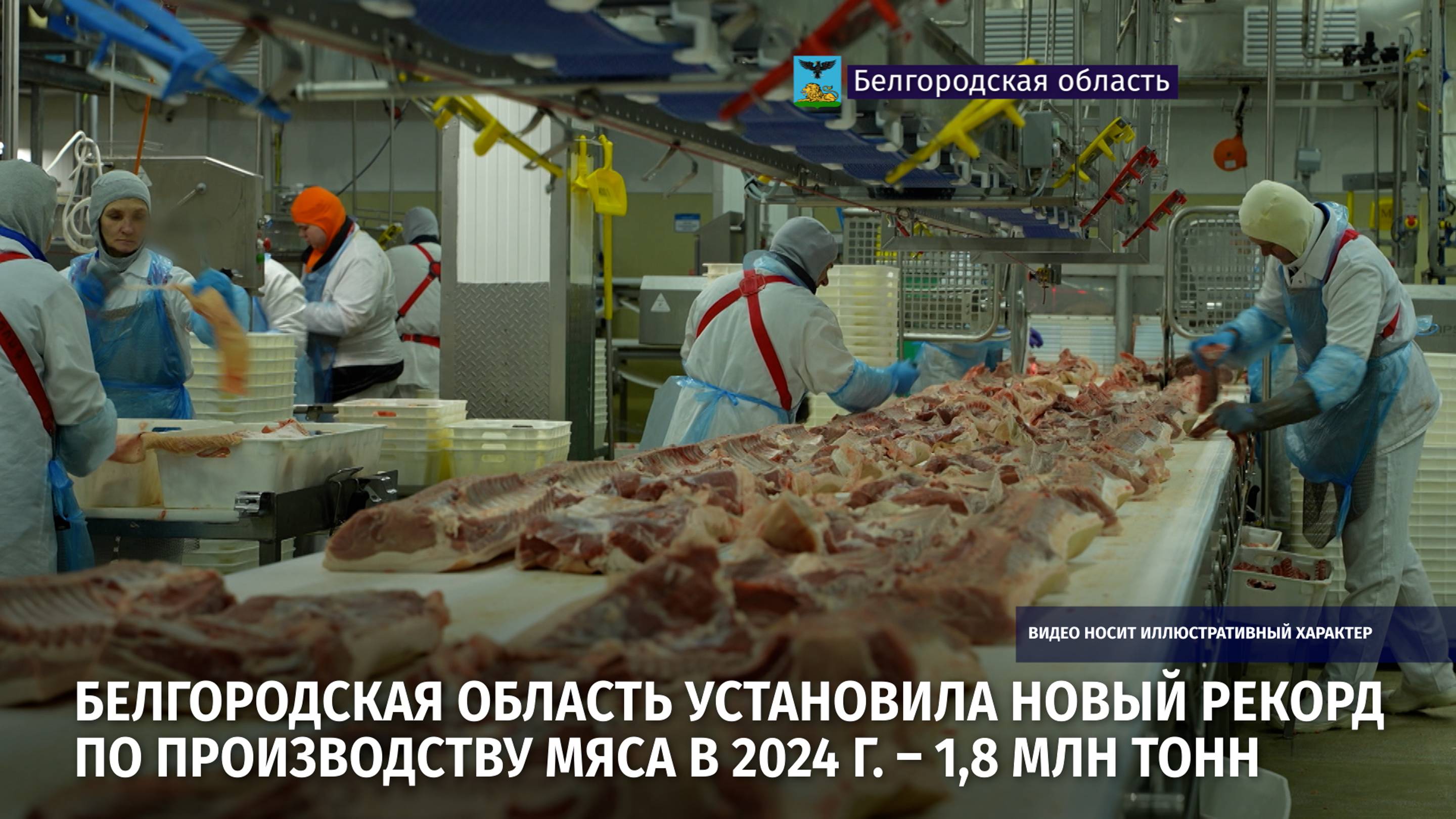 Белгородская область установила новый рекорд по производству мяса в 2024 г. – 1,8 млн тонн