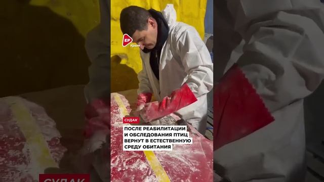 Крымчане вновь сплотились вокруг общей беды