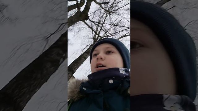 scene_output.mp4