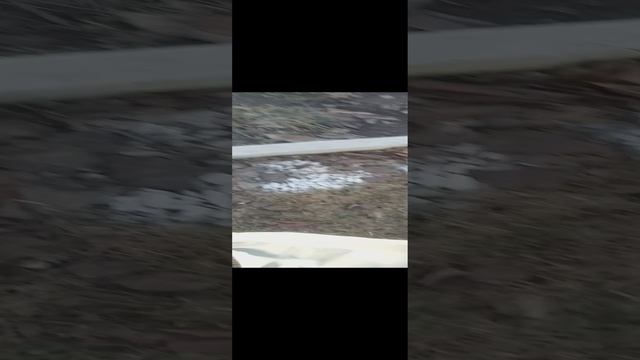 скучно поэтому такой видос