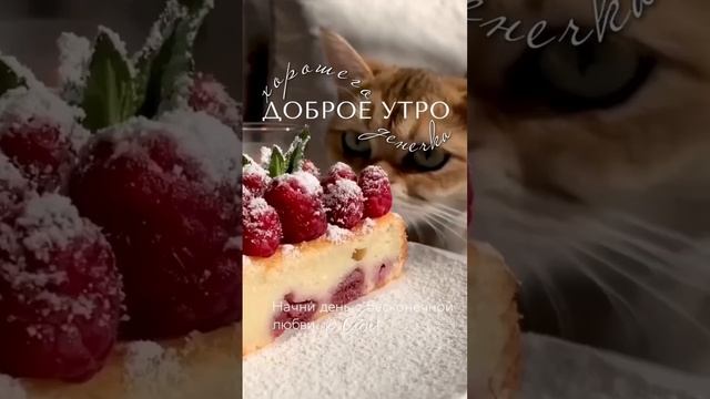 доброе утро))