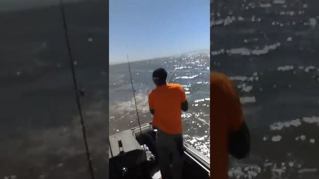 Fishing in san Francisco bay for sharks