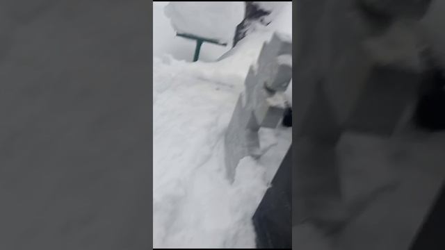 1000129884.mp4