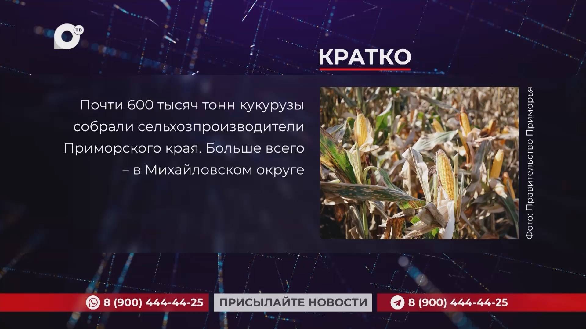 Кратко / 10.01.25 / Утро