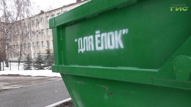 Жители Самары могут сдать новогодние елки на переработку