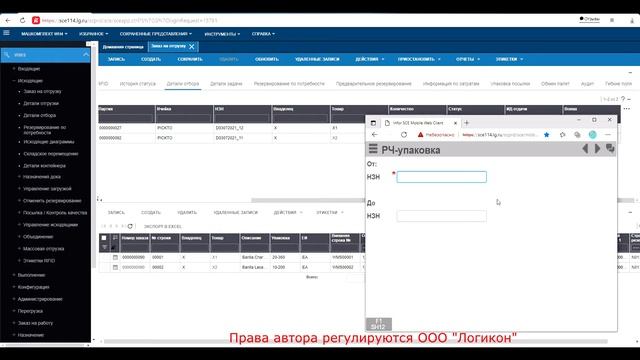 Упаковка отобранного товара / Packaging Selected SKU Infor WMS 11.0.3