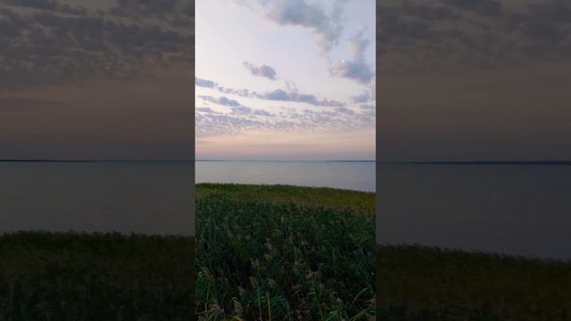 Динской залив на закате #shorts