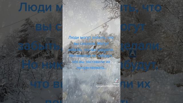 13121.mp4