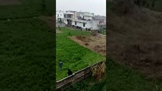 Leopard attached on village people #leopard #shorts #village #viral #video