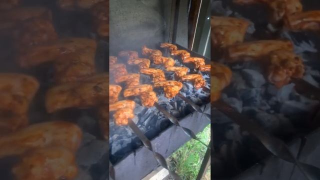 Куриный шашлык на мангале #крылышки#манга #баранина #шашлык