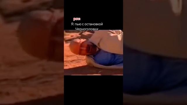 Не надо было останавливаться! Трек: ENSKA - Atomic Heart #мем #мемы #Черноголовка #фонк #напиткиизч