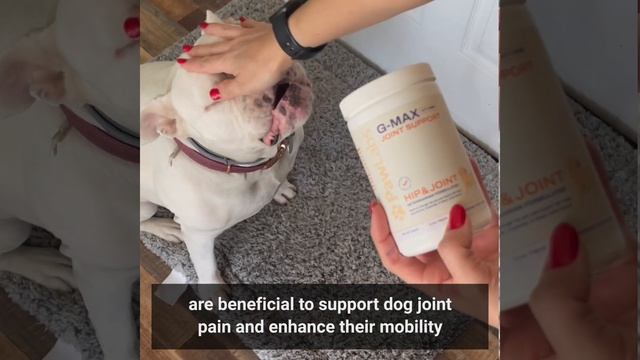 G-Max Joint Support by PawLabs™ - Bella's Youthful Playfulness